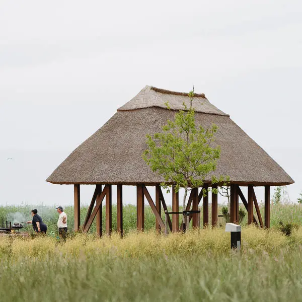 Contemporary timber pavilion with a traditional thatched roof in a natural landscape, surrounded by meadow vegetation and a young tree.