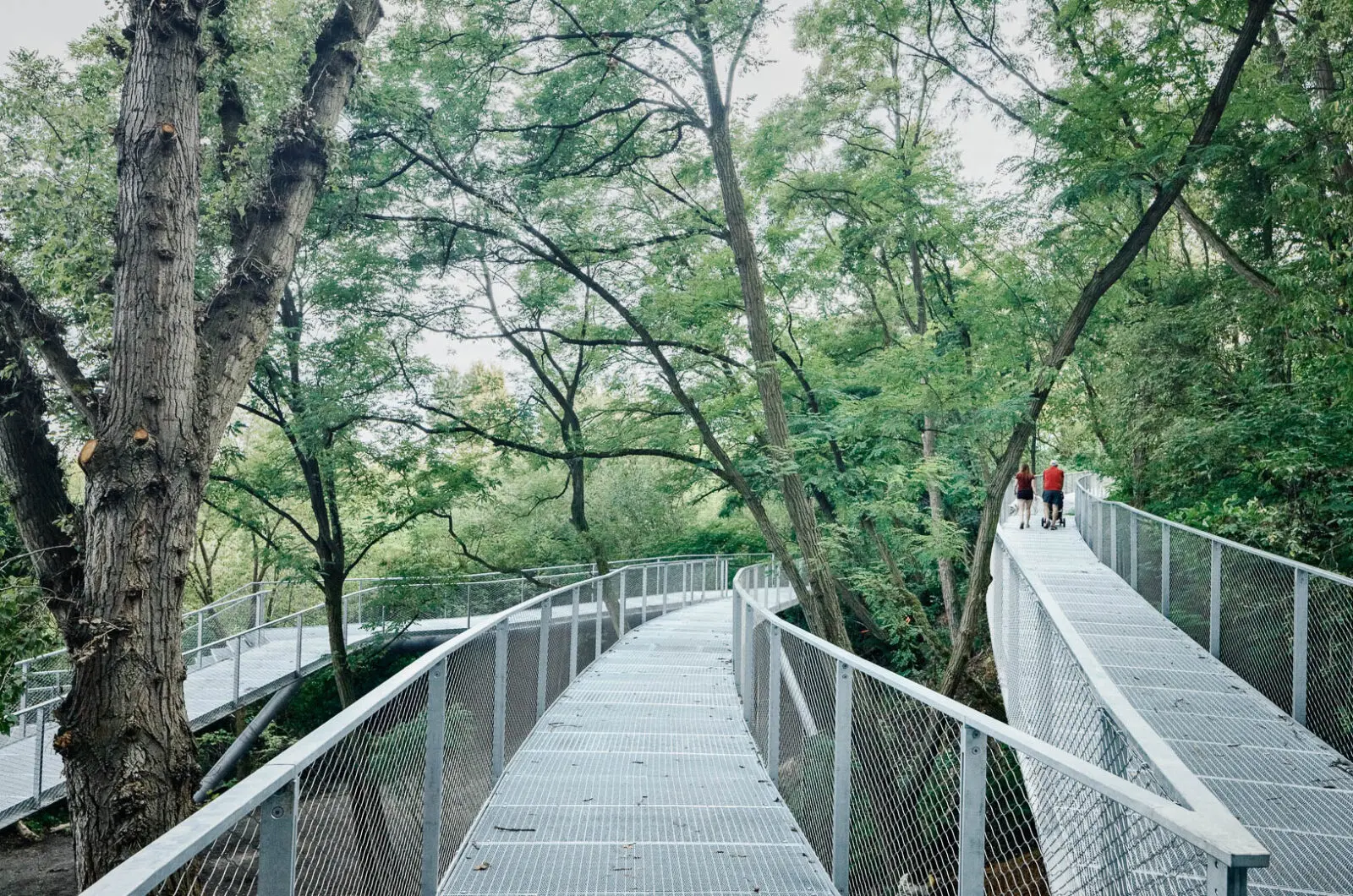 Elevated woodland boardwalk designed by landscape architects to provide accessible access through a sensitive natural environment. The lightweight structure weaves between mature trees, supporting biodiversity conservation, nature experience, and sustainable recreation while minimizing impact on the forest ecosystem.